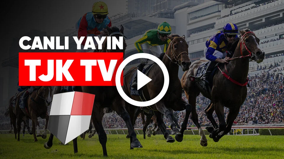 1 tjk tv