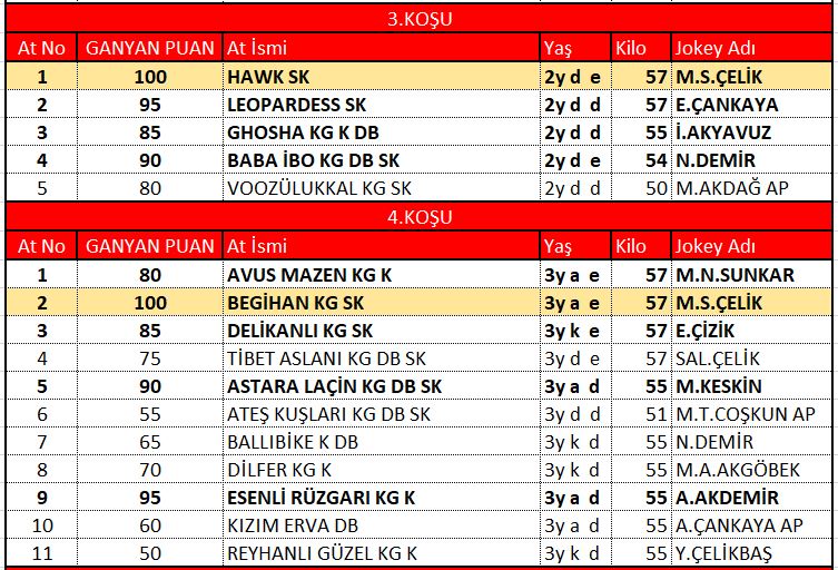 adana 2