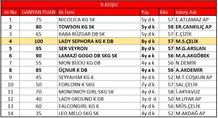 adana 5