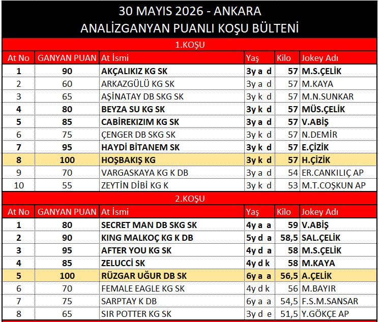ankara 1