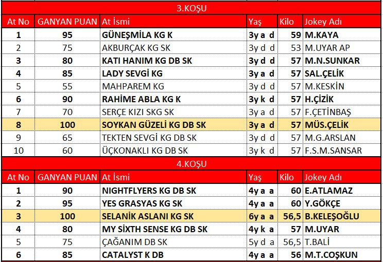 ankara 2