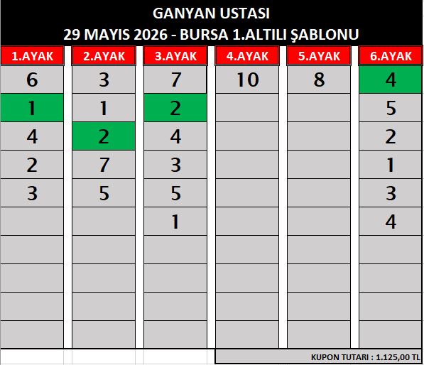 29 MAYIS 2026 - BURSA 1. VE 2.ALTILI ŞABLONU ganyan bur 1
