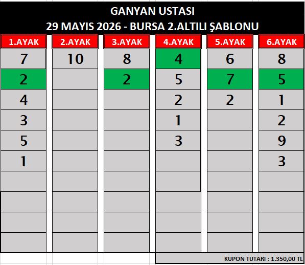 29 MAYIS 2026 - BURSA 1. VE 2.ALTILI ŞABLONU ganyan bur 2