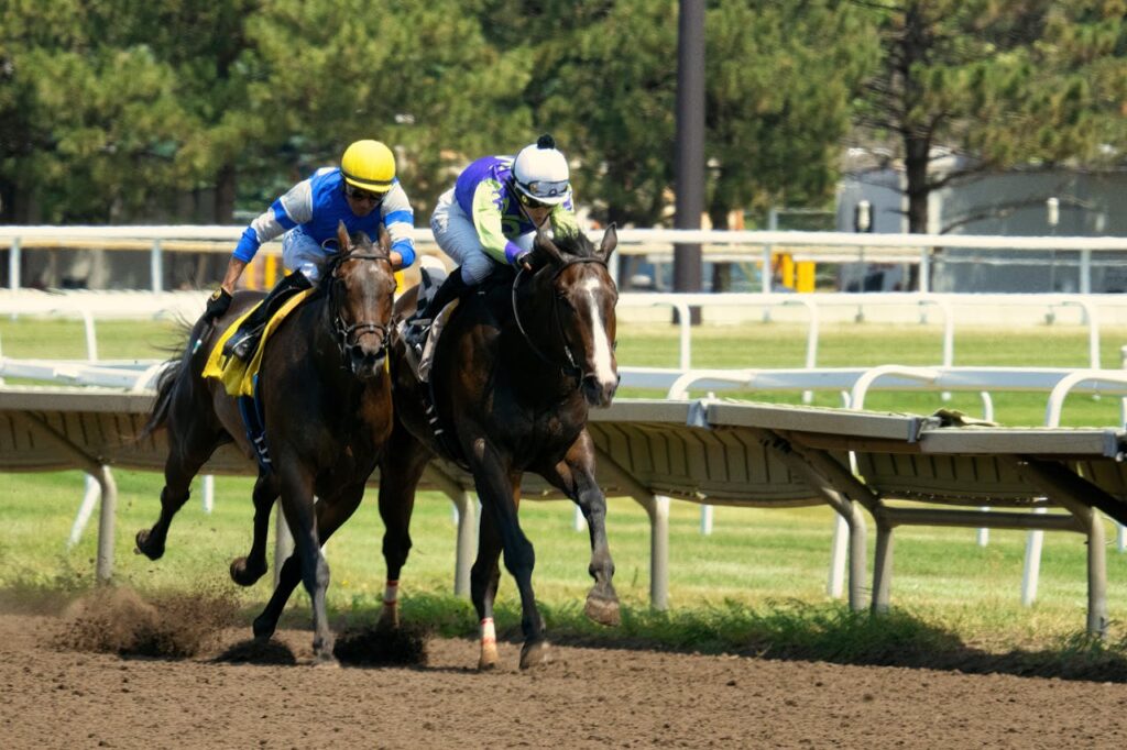 ANALİZ GANYAN Dynamic shot of jockeys competing in a thrilling horse race at Canterbury Park, Shakopee.