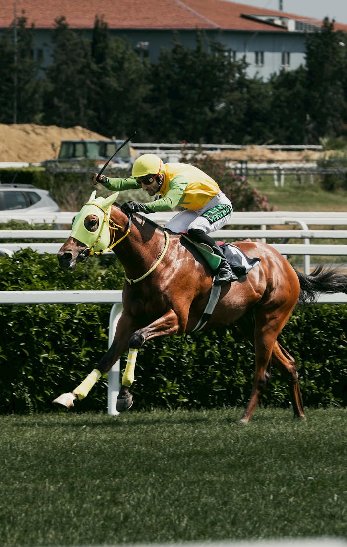 Exciting horse racing scene with jockey in green racing outdoors on vibrant sunny day.