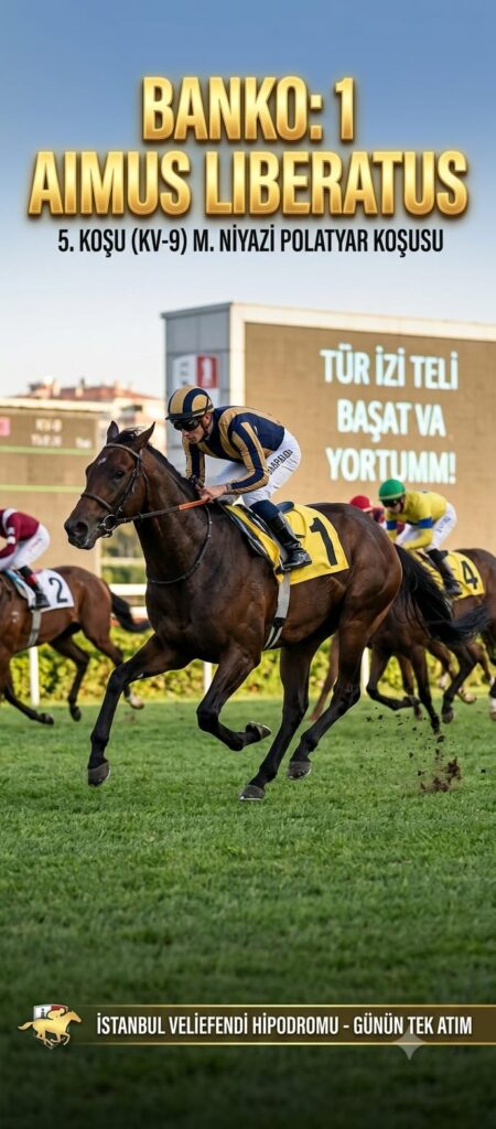 10 HAZİRAN 2026 - İSTANBUL YARIŞ TAHMİNLERİ aimus libertaus