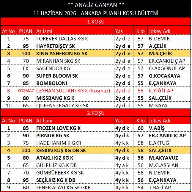 ankara bÜlten 1