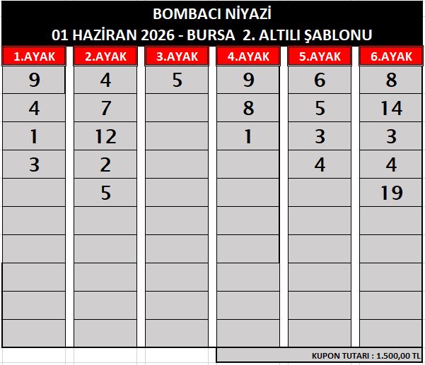 bombaci nİyazİ bursa 2