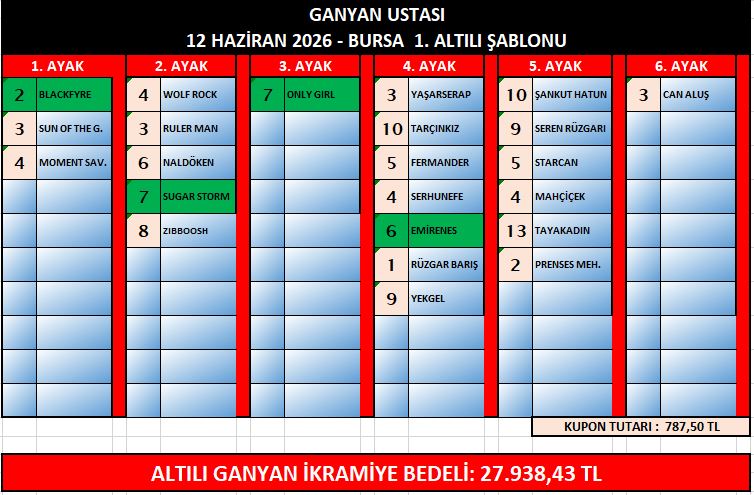 ganyan ustasi bur1
