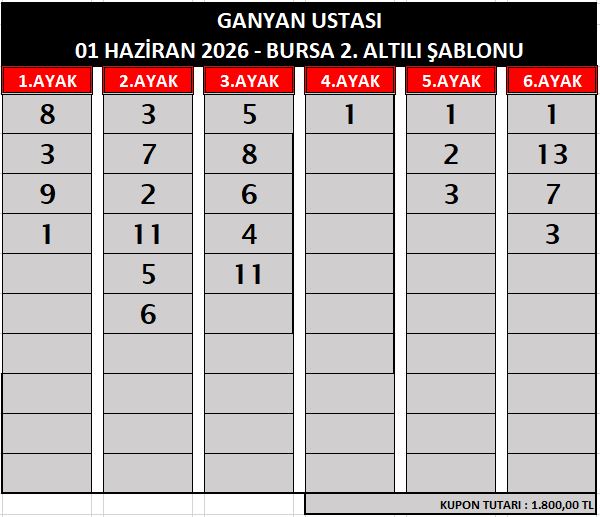ganyan ustasi bursa 2