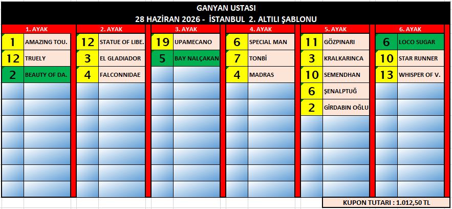 gu İst sonuÇ2