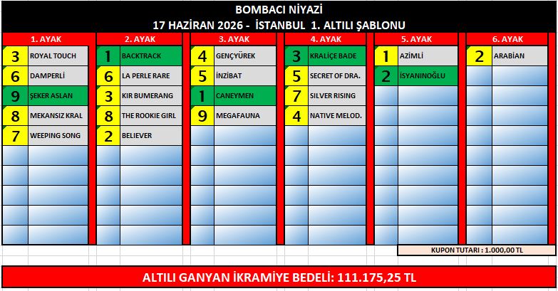 17 HAZİRAN 2026 - İSTANBUL YARIŞ TAHMİNLERİ bom ist 1