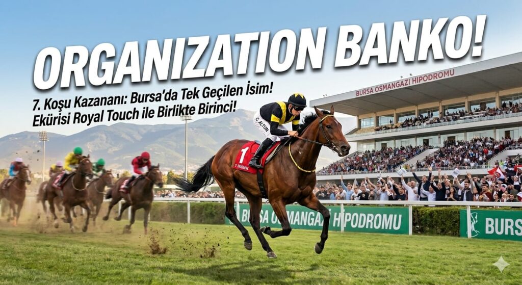 organizatıon